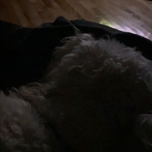 Meet your Posher, Sandy